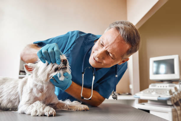 Best Emergency Tooth Extraction in Phillipsburg, KS